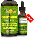 Chlorophyll Liquid Drops 100% Bio Vegan - Energie- und Immunsystem Booster Supplement mit Mint Flavor für Wasser - Natürliche innere Deodorant - Extra Strength 6000mg 120 Servietten