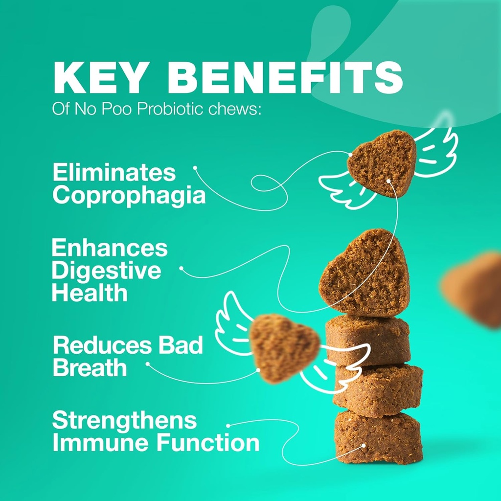Keine Poo Chewables für Hunde - Enzyme, Dog Probiotics for Digestive Health - Canine Digestive, Gut & Immune Health Supplement