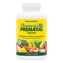Natures Plus Quelle des Lebens Prenatal - 800 mcg Folate, 90 Vegetarische Tabletten - Alle natürlichen pränatalen Vitamin & Minerals mit Eisen & Calcium - Optimale Gesundheit & Energie - Glutenfrei - 45 Servierungen