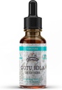 Gotu Kola Tincture, Organic Gotu Kola Extract, Gotu Kola Drops (Centella Asiatica) Getrocknete Kräuter