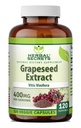 Herbal Secrets Grapeseed Extract 400 mg 120 Veggie Kapseln Ergänzung - Non-GMO - Glutenfrei
