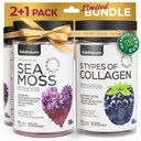 Collagen and Sea Moss Gummies Bundle - Collagen Peptides, Irish Sea Moss, Biotin, Keratin, Bladderwrack - Gummy Supplement für Immunität, Detox, Gesundes Haar, Haut und Nägel - für Männer und Frauen