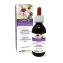 Naturalma Echinacea (Echinacea angustifolia und purpurea) Wurzel und Kräuter Alkoholfreie Tinktur - 4 fl oz Flüssiger Extrakt in Tropfen - Kräuterergänzung - Vegan