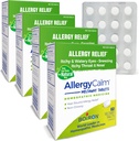 Boiron AllergyCalm Tablets 240 Count, Relief von Allergien und Hay Fever Symptome von Niesen, Runny Nose, Itchy Eyes, Throat, Allergy Calm Tabs (früher RhinAllergy) (Pack von 4 60ct Boxes)