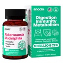 Akkermansia Muciniphila + Probiotic, Postbiotic & Inulin - Gut Health Supplement für Verdauung, Immununterstützung - 10 Billion CFU, Vegan & Glutenfrei
