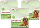 Probiotic for Dogs - Healthy Digestion - Boost Immune System - Normal Bowel Function - Skin and Coat Health - Supplement for GI Tract - 90 Servings, 3-Pack