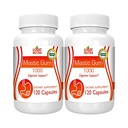 Mastic Gum Capsules - Natural Gastrointestinal Support Supplement, 1000mg pro Servieren - 120 Kapseln (2 Flaschen)