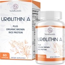 Urolithin A Supplement 1500MG Plus Brown Rice Protein, für Übung Performance & Mitochondrial Support, Glutenfrei, 60 Kapseln