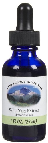 Wild Yam Root Extract Liquid – Natural Female Balance Supplement – Cold Pressed Menopausal Support oder PMS Support Supplement für Damen, 1 Fl Oz