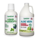 Land Art Aloe Vera Juice - Pomegranate Flavored - Kalt verarbeitet - Innere Filet aus Bio-Frischblättern - 64floz + flüssige Chlorophyll Mint Flavored - Kalt Aus Wild Non-GMO Alfalfa - 16floz