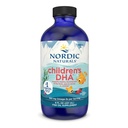 Nordic Naturals Kinder DHA, Erdbeeren - 8 oz für Kinder - 530 mg Omega-3 mit EPA & DHA - Gehirnentwicklung & Funktion - Nicht-GVO - 96 Portionen