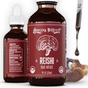 Hodgins Harvest Organic Reishi Mushroom Fruiting Body Extract Tincture - Extra Concentrated Dual Extract Supplement - Unterstützt Herzgesundheit & Wellness - USDA Bio Pilze - 4 Unze