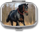 Pille Box Tragbare Pille Case für Pocket Horse auf Rasen Reisen Kleine Pille Organizer 2 Compartment Metall Pille Container Halter für Medizin Vitamine Fish Oil Supplements