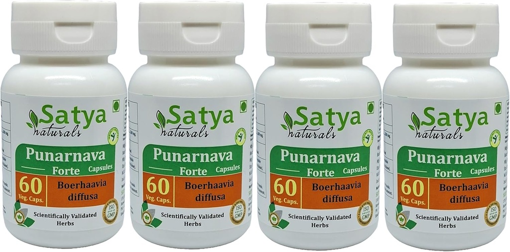 Punarnava Forte Kapseln 500 mg. 60 Veg. Kapsel | Punarnava (Boerhaavia Diffusa) Extrakt Kapseln für Männer und Frauen | Ayurvedische Kräuterergänzung/Remedies | 10:1 Forte (4 Flaschen von 60 Kapseln)