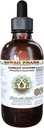 Passion Flower Alcohol-Free Liquid Extract, Organic Passion Flower (Passiflora Incarnata) Getrocknete Kräuter Glycerite natürliche Kräuterergänzung, Hawaii Pharm, USA 4 fl.oz
