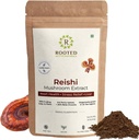 ROOTED Reishi Pilzextrakt Pulver | Herzgesundheit, Stress Relief, Leber. USDA Organic, 30% Beta Glucans, Certified Organic (2.11 Unze)