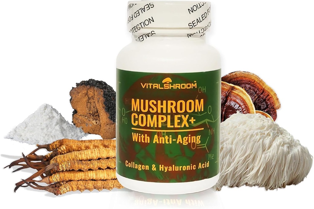 Pilzkomplex mit Anti-Aging. Natürliche Pilz-basierte Anti-Aging-Ergänzungen mit Chaga, Lion’s Mane, Cordyceps, Reishi, Collagen, Hyaluronsäure, Vitamine B1, B2, B6, C, D.