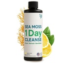Atlantic Naturals - 1 Day Colon Cleanse Full Body Detox Drink - Sea Moss Supplement für Damen und Herren, Gut Health, Kidney & Liver Immune Energy Enhancer Gut Cleanse - Lemon Flavor Juice, 8 fl oz