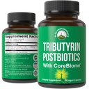 CoreBiome Tributyrin Postbiotic Supplement klinisch getestet für Gut Health. Effektiver als Sodium Butyrate Capsules. Hohe Bioverfügbarkeit Post Biotics für Verdauung, Leaky Gut, Colon, Microbiome