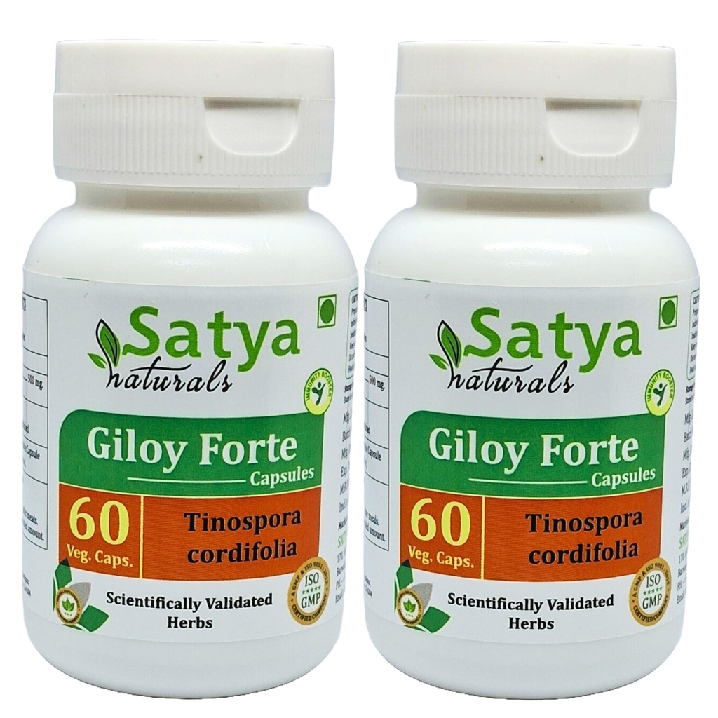 Giloy Forte Capsules 500 mg. 60 Veg. Kapsel | Guduchi (Tinospora Cordifolia) Extrakt Kapseln für Männer und Frauen | Indische Ayurvedische Kräuterergänzung/Remedies (2 Flaschen von 60 Kapseln)