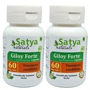 Giloy Forte Capsules 500 mg. 60 Veg. Kapsel | Guduchi (Tinospora Cordifolia) Extrakt Kapseln für Männer und Frauen | Indische Ayurvedische Kräuterergänzung/Remedies (2 Flaschen von 60 Kapseln)