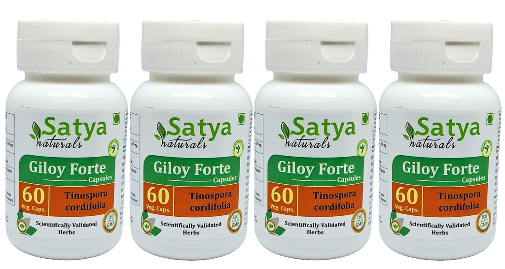 Giloy Forte Capsules 500 mg. 60 Veg. Kapsel | Guduchi (Tinospora Cordifolia) Extrakt Kapseln für Männer und Frauen | Indische Ayurvedische Kräuterergänzung/Remedies (4 Flaschen von 60 Kapseln)