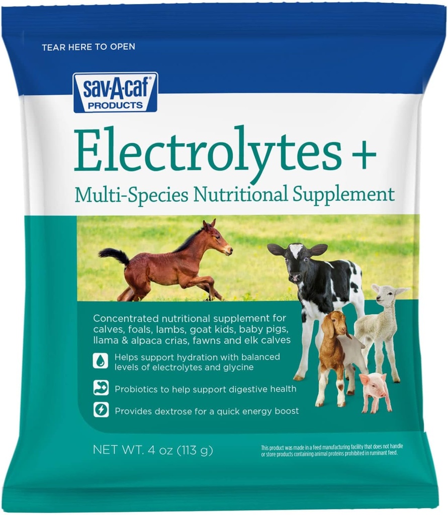 Sav-A-Caf | Elektrolyte Plus Multi-Species Ergänzung | 4 Unzen (4 OZ) Paket
