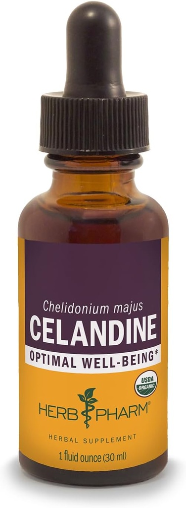 Kräuter Pharm Certified Organic Celandine Liquid Extract, 1 Fl Oz