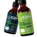 E2H: Flüssiger Chlorophyll Natürlicher Geschmack und Pfefferminz Geschmack | Vegan, Non-GMO - 2 Fl Oz Jeder (4 Fl Oz Gesamt) - Bundle