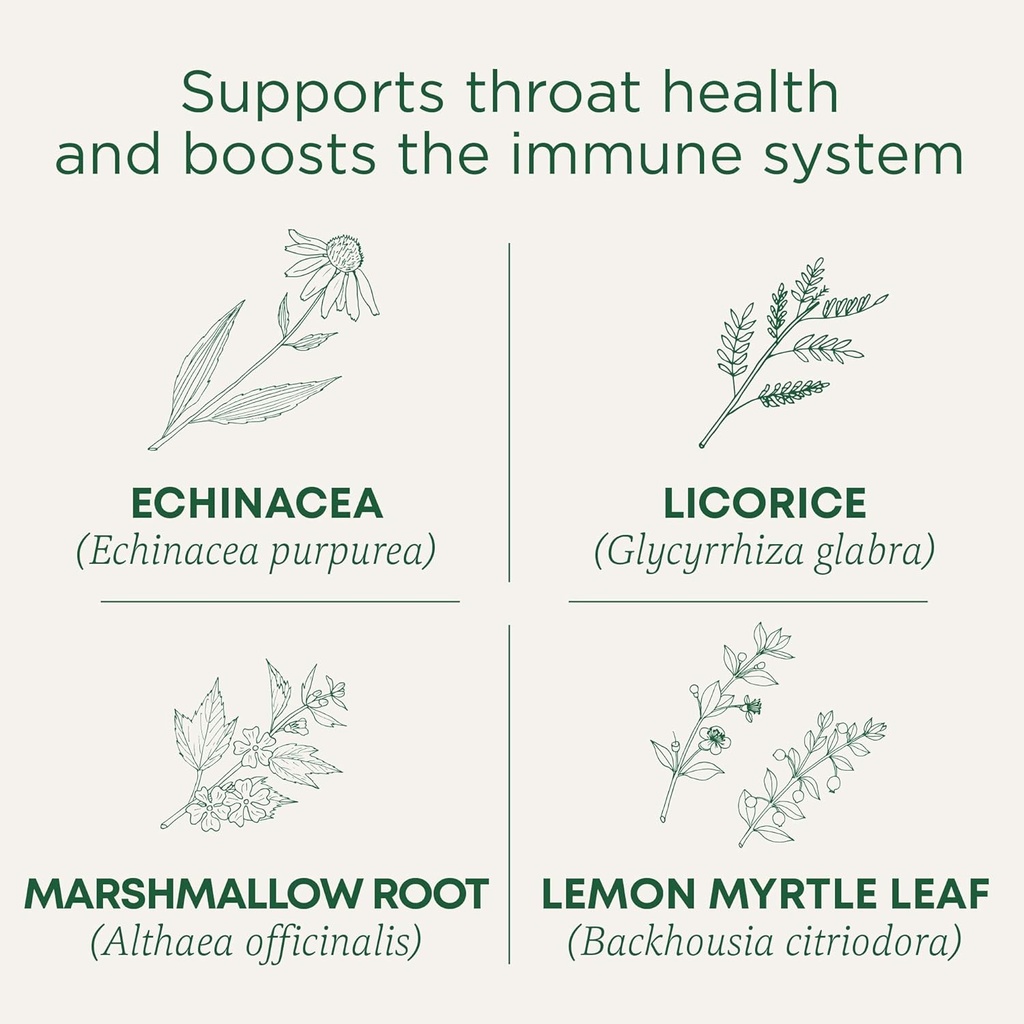 Traditionelle Medicinals Lozenges, Organic Throat Coat Lemon Ginger Echinacea, Sore Throat Support, 16 Count (Pack von 2)