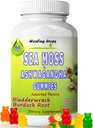Sea Moss Gummies Ashwagandha mit Bladderwrack Burdock Root, Alkaline Keto Vegan Non-GMO Diät, Dairy und Gluten Free – durch Heilung von Tropfen