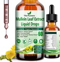 Mullein Tropfen für Lungen, Bio Mullein Blatt Extrakt für Lung Detox w. Chlorophyll Elderberry Oregano Öl Resveratrol Mullein Tincture Alcohol Free, Original Flavor, 2 f Fl/Oz