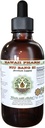 NIU Bang Zi Alkoholfreier Flüssigextrakt, NIU Bang Zi, Burdock (Arctium Lappa) Seed Glycerite Natural Herbal Supplement, Hawaii Pharm, USA 2 fl.oz