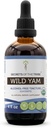 Secrets of the Tribe Wild Yam USDA Organic | Alkoholfreier Extrakt, hochkarätige Kräutertropfen, Verdauung | Hergestellt aus 100% zertifiziertem Bio-Wild Yam (Dioscorea Villosa) Getrocknete Wurzel 4 Unzen
