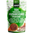 Wixar Mushroom Powder - Ten Treasure Mushrooms Extrakt Ergänzung Mischung für Kaffee & Smoothies - Lions Mane, Turkey Tail, Reishi, Chaga, Shiitake, Cordyceps, Complex - 4oz Mushroom Supplement