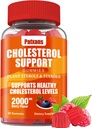 1 Pack Cholesterol Support Gummis, enthaltend 2000MG von Pflanzen Sterols & Sterols, Cholesterol Complex Gummies, Unterstützt gesunde Cholesterol Levels, Energieunterstützung, gemischte Berry Flavor, 60 Zähler