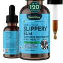 Animal Essentials Slippery Elm - Slippery Elm Bark Anti Durchfall Tropfen für Hunde und Katzen, Bio Kräuterextrakt für gesundes Gut, Digestive & Throat-Unterstützung, Hilft Säure Reflux, flüssige Formel- 1 fl oz