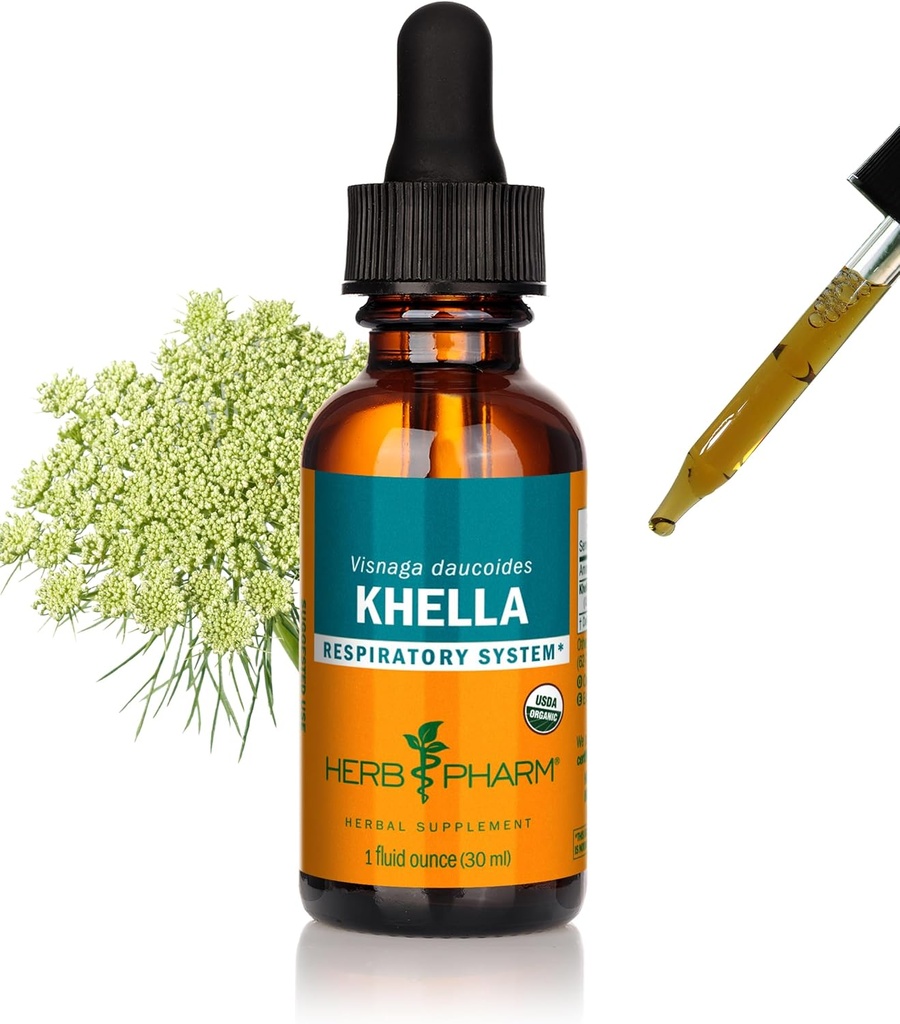 Kräuter Pharm Khella Flüssiger Extrakt für Atemsystemunterstützung - 1 Unze (DKHELL01)