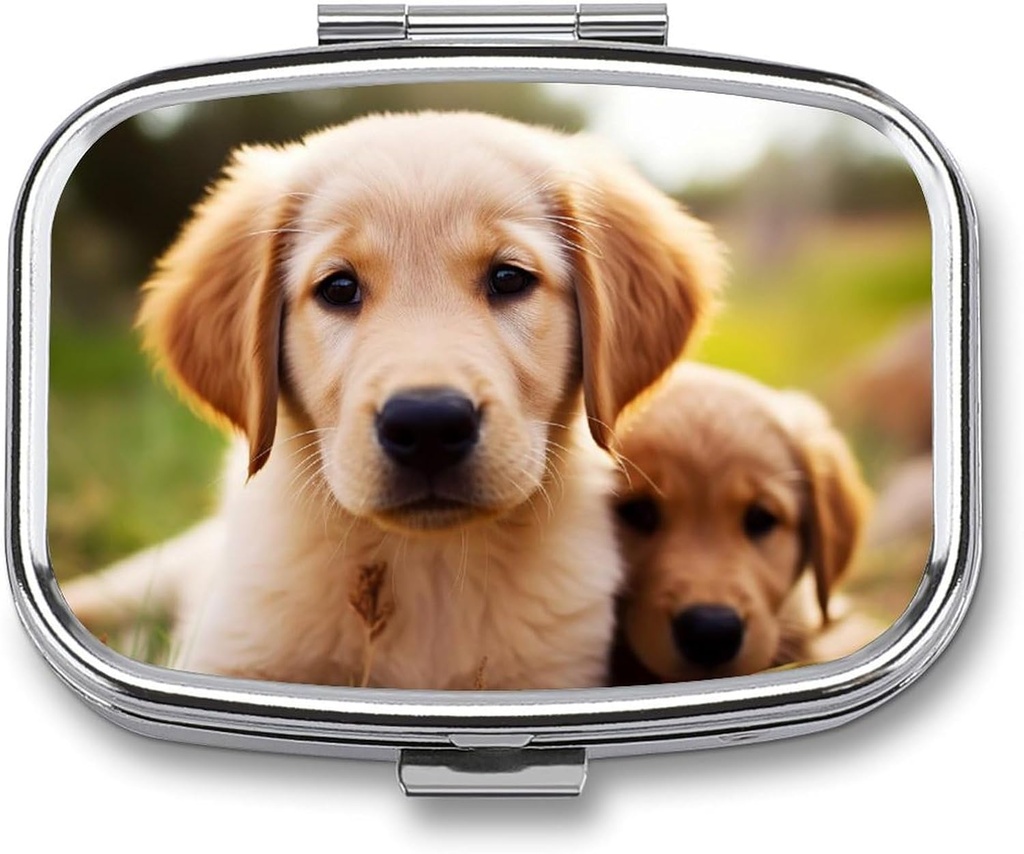 Pille Box 2 Kompartment Square Pill Organizer Täglich kleine Pille Fall für Reisen niedlich Golden Retriever Welpen Metall Pille Container tragbare Medizin Organizer für Pillen Vitamine Fish Oil Supplement