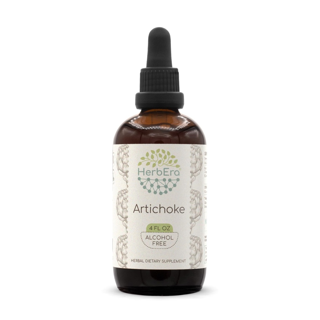 HerbEra Artichoke B120 Alkoholfreie Kräuterextrakt-Tinktur, Konzentrierte flüssige Tropfen natürliche Artichoke (Cynara scolymus) (4 fl oz)