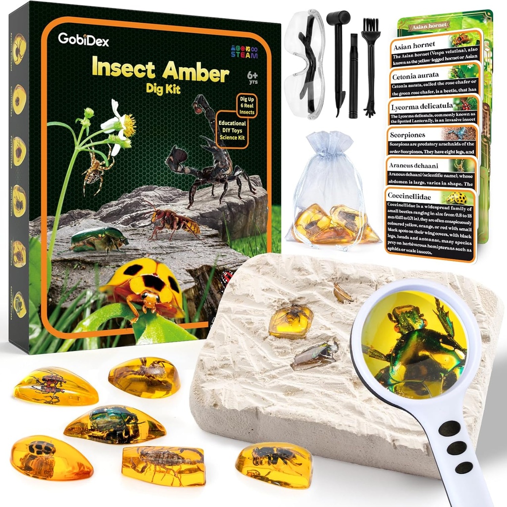 GobiDex Amber Dig Kit-Artificial Insect Resin, Excavate 6 Insects Specimens, STEM Geographic Educational Bugs Toys, Excavation Toys for Fun Bugs Party Favors, Science Kits für Kinder Alter 6-8 8-12