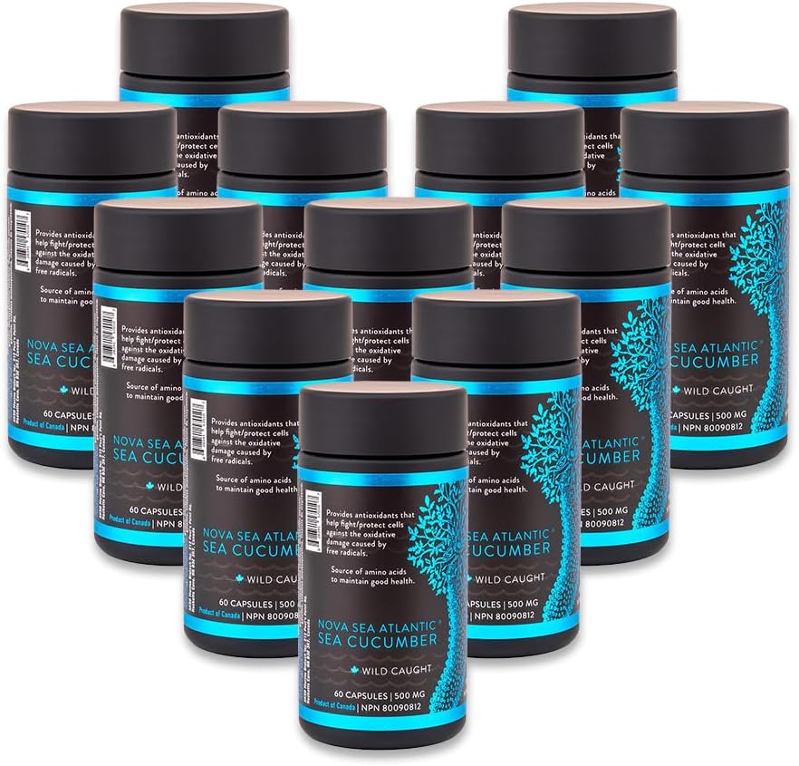 Sea Cucumber Supplement, Wild Caught Sea Cucumber Capsules mit Fucosylated Chondroitin Vitamins Mineral — Natürliche Antioxidante Ergänzung für ältere Erwachsene Kind (Pack von 12)