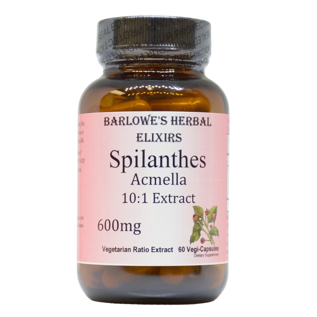 Spilanthes Acmella Extrakt | 600mg pro Kapsel | Kräuterergänzung für natürliches Wellness & Balance | 60 Vegan Kapseln | Stearate-Free, Glas gefüttert für Frische