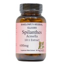 Spilanthes Acmella Extrakt | 600mg pro Kapsel | Kräuterergänzung für natürliches Wellness & Balance | 60 Vegan Kapseln | Stearate-Free, Glas gefüttert für Frische