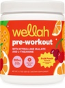 Wellah Pre-Workout Drink Mix (Fruit Punch Flavored, 30 Servierungen) - mit Citrulline Malate und L-Theanin, 200mg Natürlicher Koffein & 1000mg Beta-Alanin