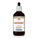 Hawaii Pharm Kudzu Alcohol-Free Extract, Glycerite for Liver Wellness, Promotes Heart Function, Supports Cardiovascular Balance, Protects Liver from Oxidative Damage, Soothes Head Tension - 4 fl.oz