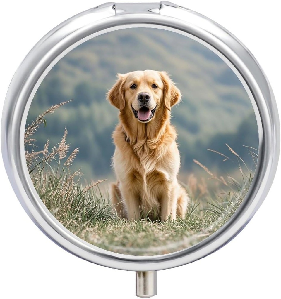 Runde Pille Box Golden Retriever Hund gedruckt 3 Kompartment kleine Pille Case Portable Reise Pille Container zu halten Ergänzungen Vitamine Fisch Öl Medikamente