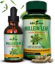 KIKI Green Mullein Capsules & Liquid Drops Bundle - Mullein Leaf Extract Supplements, 90 Kapseln + 2 oz - für Atem- und Immununterstützung, bessere Lung-Funktion, Lung Cleanse & Relief