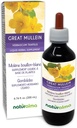 Naturalma Great Mullein or Common Mullein (Verbascum thapsus) Flower and Leaf Alcohol-Free Tincture - 6.76 fl oz Liquid Extract in Drops - Herbal Supplement - Vegan