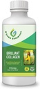 Marine Liquid Collagen Supplement -1,000mg Morikol Tripeptide Marine Collagen Plus 1.000mg Biotin Hyaluronsäure Vitamin C Gesunde Haut Haarnägel Gemeinsame Unterstützung GMP zertifiziert Gluten&Soy Free